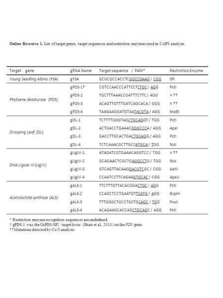 Target gene gRNA NameTarget sequence / PAM*Restriction Enzyme Young Seedling Albino (YSA)gYSAGCGCGCCACCTCGGCCGAAG / CGGSfiI Phytoene desaturase (PDS) gPDS-1†CGTCCAACCCATTCCTCTGC.