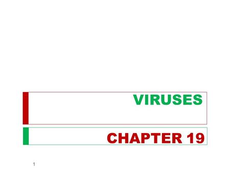 VIRUSES CHAPTER 19.