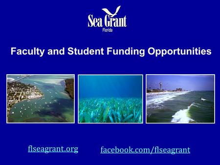 Faculty and Student Funding Opportunities flseagrant.org facebook.com/flseagrant.