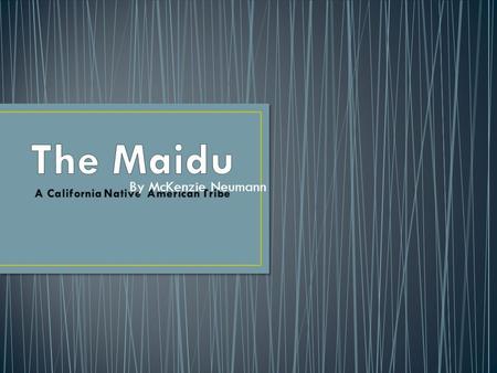 By McKenzie Neumann. Did you ever hear about the Maidu? The Maidu is a California Native American tribe. Some Maidu live in Sierra Nevada and others lived.