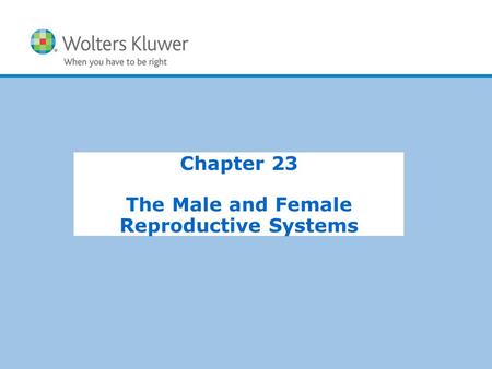 The Male and Female Reproductive Systems