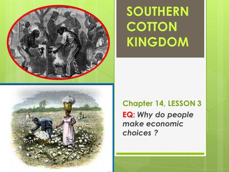 SOUTHERN COTTON KINGDOM