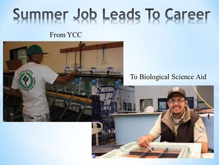 To Biological Science Aid From YCC. I will always remember my first day at work. The former Project Leader, Jeff Powell, had us YCC students washing rocks.