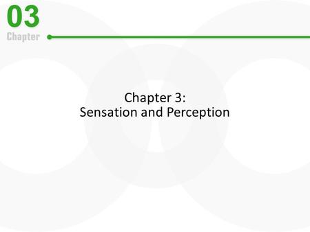 Chapter 3: Sensation and Perception