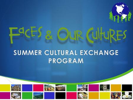 SUMMER CULTURAL EXCHANGE PROGRAM