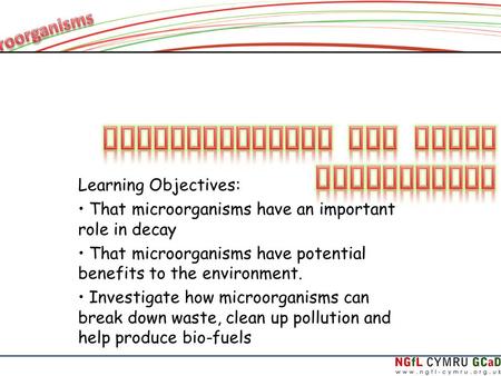 Learning Objectives: That microorganisms have an important role in decay That microorganisms have potential benefits to the environment. Investigate how.