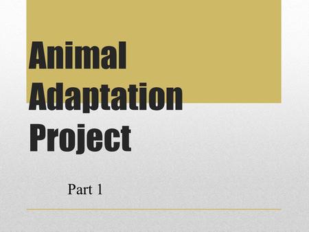 Animal Adaptation Project