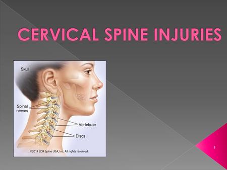 CERVICAL SPINE INJURIES