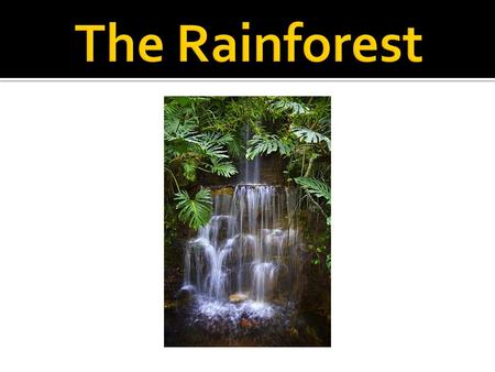  Largest number of natural medicines  40-75% of all species on Earth are indigenous  Supply 28% of the world’s oxygen  Cools the temperature of the.