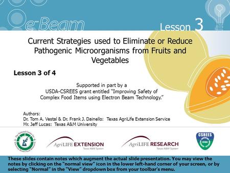 Current Strategies used to Eliminate or Reduce Pathogenic Microorganisms from Fruits and Vegetables Lesson 3 of 4 Supported in part by a USDA-CSREES grant.