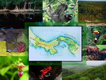 Laura Tremblay-BoyerEric Ross Anderson A Preliminary Assessment of Ecosystem Vulnerability to Climate Change in Panama Presented in the McGill Panama.