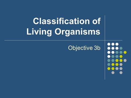 Classification of Living Organisms Objective 3b Discussion! How is a grocery organized? What would happen if you had a list of groceries you needed &