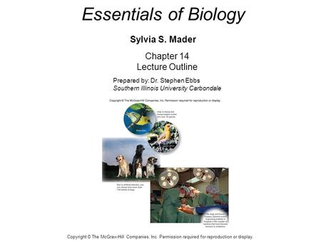 Essentials of Biology Sylvia S. Mader