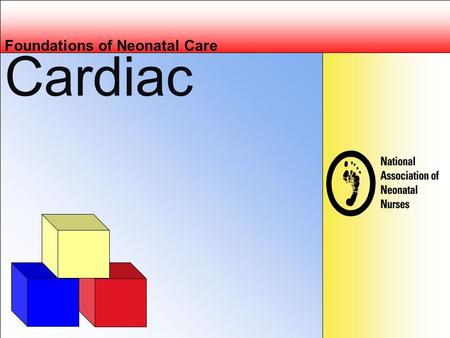 Foundations of Neonatal Care