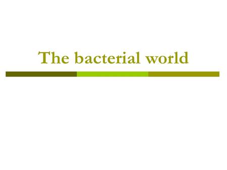 The bacterial world.