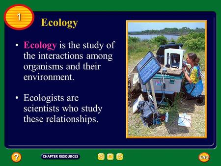 1 Ecology Ecology is the study of the interactions among organisms and their environment. Ecologists are scientists who study these relationships.