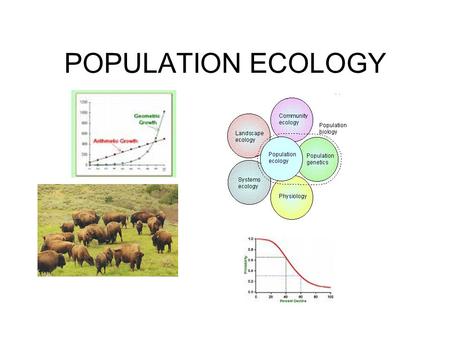 POPULATION ECOLOGY. ECOLOGY Study of living organisms as groups Interactions between living organisms (predator-prey, parasitism etc) Interactions between.