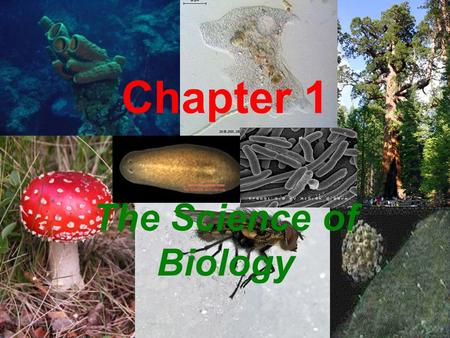 Chapter 1 The Science of Biology.