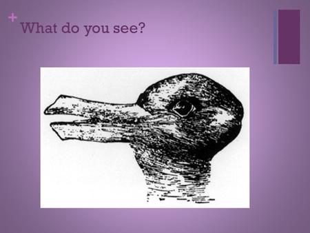 + What do you see?. + Community Asset Mapping Is it a rabbit or a duck?