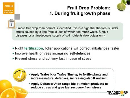 CITRUS NUTRITION SOLUTIONS Fruit Drop Problem: 1. During fruit growth phase  Right fertilization, foliar applications will correct imbalances faster 