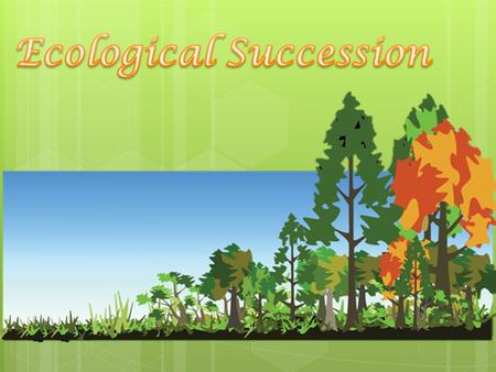 Ecological Succession