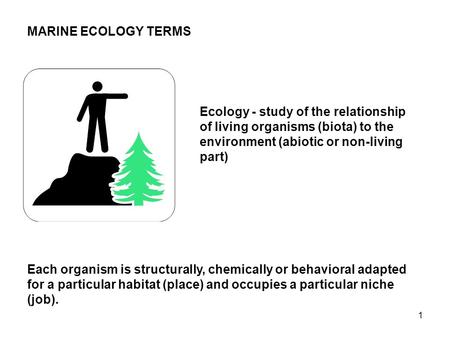 1 MARINE ECOLOGY TERMS Ecology - study of the relationship of living organisms (biota) to the environment (abiotic or non-living part) Each organism is.