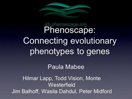 Phenoscape: Connectin g evolutionary phenotypes to genes Paula Mabee Hilmar Lapp, Todd Vision, Monte Westerfield Jim Balhoff, Wasila Dahdul, Peter Midford.