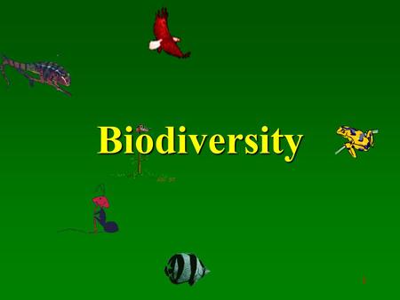 Biodiversity.