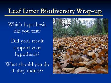 Leaf Litter Biodiversity Wrap-up Which hypothesis did you test? Did your result support your hypothesis? What should you do if they didn’t??