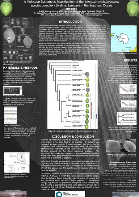 A Molecular Systematic Investigation of the Limatula ovalis/pygmaea species complex (Bivalvia: Limidae) in the Southern Ocean Tim Page British Antarctic.