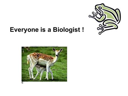 Everyone is a Biologist ! Chapter 1 What is Life?