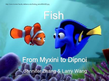 Fish From Myxini to Dipnoi Jennifer Zhang & Larry Wang