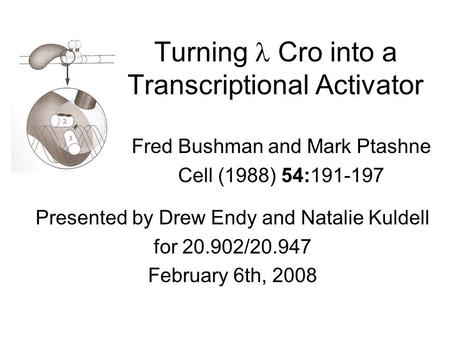 Turning Cro into a Transcriptional Activator Fred Bushman and Mark Ptashne Cell (1988) 54:191-197 Presented by Drew Endy and Natalie Kuldell for 20.902/20.947.