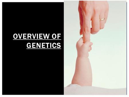 Ch. 1 Overview of Genetics.