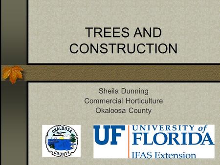 TREES AND CONSTRUCTION Sheila Dunning Commercial Horticulture Okaloosa County.