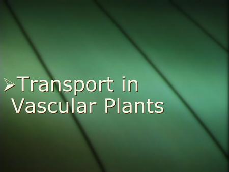 Transport in Vascular Plants