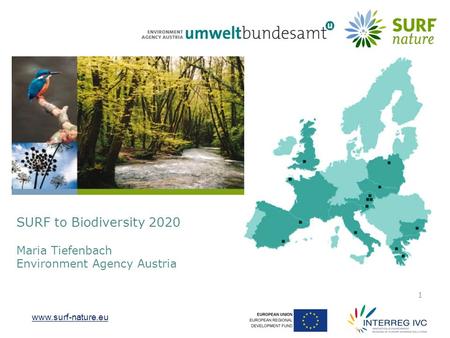 Www.surf-nature.eu 1 SURF to Biodiversity 2020 Maria Tiefenbach Environment Agency Austria.