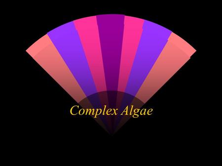 Complex Algae w Complex algae are divided into three groups according to their photosynthetic pigments: green, brown, and red. w Complex algae live at.