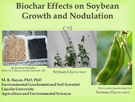 Biochar Effects on Soybean Growth and Nodulation