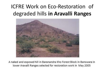 ICFRE Work on Eco-Restoration of degraded hills in Aravalli Ranges A naked and exposed hill in Baranandra Kho Forest Block in Banswara in lower Aravalli.