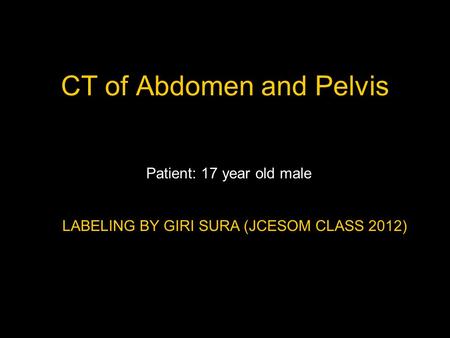 CT of Abdomen and Pelvis