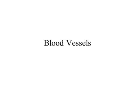 Blood Vessels.