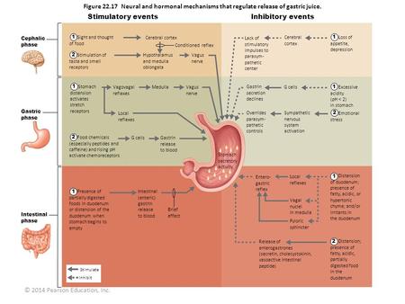 © 2014 Pearson Education, Inc.