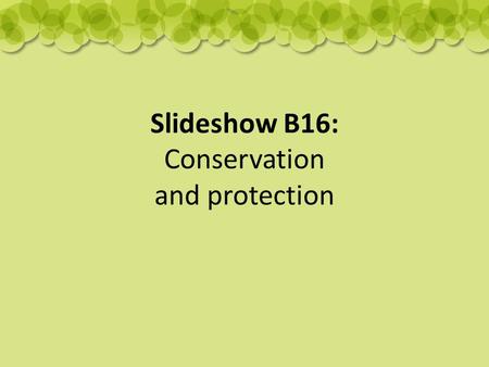 Slideshow B16: Conservation and protection. What is being done to help endangered species? There are several ways we can conserve and protect endangered.