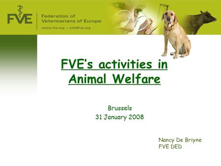 FVE’s activities in Animal Welfare Brussels 31 January 2008 Nancy De Briyne FVE DED.