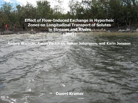 Effect of Flow-Induced Exchange in Hyporheic Zones on Longitudinal Transport of Solutes in Streams and Rivers (2002) Anders Worman, Aaron Packman, Hakan.