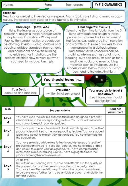 Name: Form: Tech group: Yr 9 BIOMIMETICS MEG Success criteria Teacher assessment Level 4 You have used the leaf bio-mimetic fabric and designed a product.