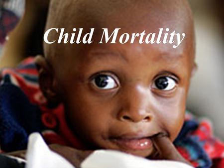 Child Mortality. The Focus of the Committee What we focused on the most was Reducing Child Mortality. –Raising the awareness of the general public starting.