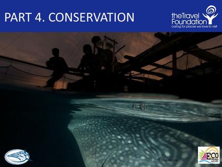 PART 4. CONSERVATION © Scubasigns. 4.1 CONSERVATION Outline and Introduction 1. Whale shark conservation Status 2. Why is the whale shark vulnerable?