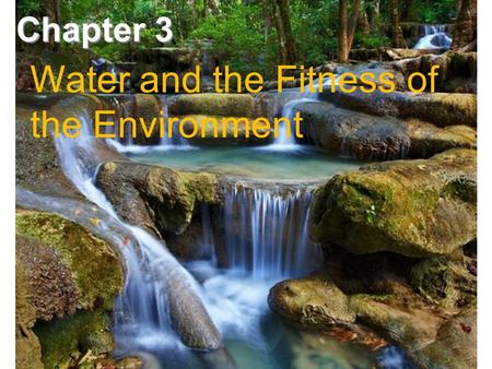 Chapter 3 Water and the Fitness of the Environment.